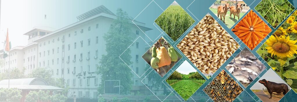 seed process automation portal for iihr l i mantra erp